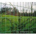 High Quality PVC Coated Welded Euro Fence